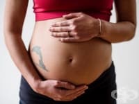 ������������ ������� ������ �� ������ �� ���� 2 ������, ���� ����������