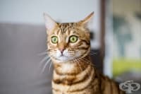 ���-������ ����� ����� ��������� ��������� ������ ��������� 