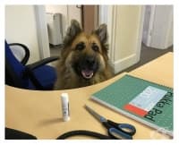 ��� �� �������� � �����: ��� � ���� �� ������� �������� �� �� ������ 