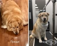 ����� �������: ������ ��� � ������� �� � ������������ �����