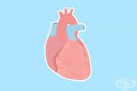 ��� ��������� �� ��������� ����� �������� ��������� ������� ��