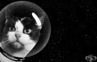 ������� � ������� ����������, ������ � �������