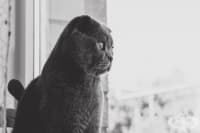 �� ������ �� ������� �� �����