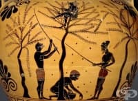 Какво древните гръцки философи наистина са мислели относно вегетарианството?