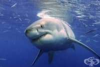 �������� ������ � ���-�������� ����� � �����