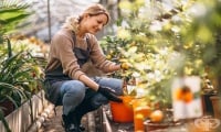 Градинарството – начин за справяне със стреса по време на пандемията от COVID-19