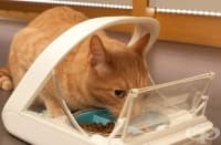 13 ��������� � ���������� ������ �� ������� �������