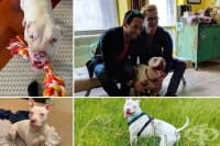 ���������� ���� �� ����� �� �� ����� � ���������, ����� �� ��������