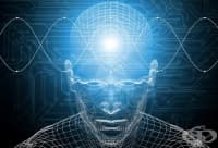 ����������� � �������� ������ � (��)���������� �����������