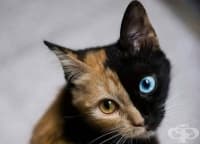 ������ � ������� � ��� ���