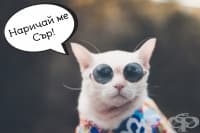 ������� ����������� ������� ��