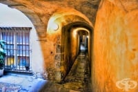 �� ������� ��������� �� ����