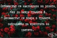 Песимизмът или малка доза цяр срещу абсурдния оптимизъм