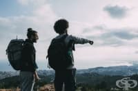 Притча за приятелството