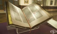Разказите, формиращи историята и културата на човечеството