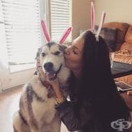 ������������� ����� ����� � �����, ����� �� ������� ����� �����