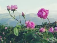 20 ����� �� ��������, ����� �� �� ������� �� �� ��������, �� ��� �������!