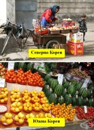 15 шокиращи разлики между Северна и Южна Корея