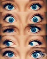 Научете повече за чудото на сините очи и малко за някои от останалите