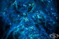 ���� ���� ������������� ������ ������? 