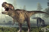 �-���� � ��������� �� ���� ����� ����