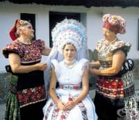 ��� 6 �� ���-�������������� ��������� ��������� � �����