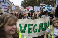 �� ����� ��� �� �� ����� �����, ��� ���� ����������� ��� ���� ���������