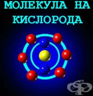 W81 Случайно или умишлено попадане в среда с ниско съдържание на кислород