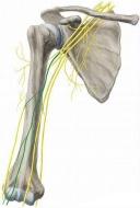 S44.4 ������ �� �����-�������� ����