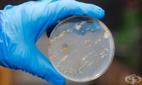B96 Други бактериални агенти като причина за болести, класифицирани другаде