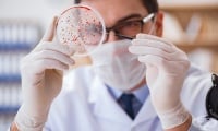 B95-B97 Бактериални, вирусни и други инфекциозни агенти