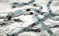 A05.4 Хранително отравяне, предизвикано от Bacillus cereus