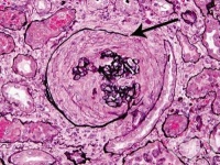 N01 ����� ����������� �������� �������