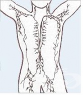 I80-I89 ������� �� ������, �������� ������ � �������� �����, ��������������� �������