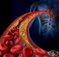 T46.6 �������������������� � �������������������� ��������