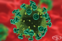 B21.3 Болест, предизвикана от HIV, с прояви на други злокачествени новообразувания на лимфната, кръвотворната и сродните им тъкани