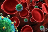 B23.2 Болест, предизвикана от HIV, с прояви на хематологични и имунологични нарушения, некласифицирани другаде