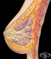 S20.1 ����� � ���������� ������������ ������ �� �������� �����