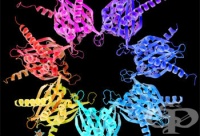 Y43.6 Ферменти, некласифицирани другаде