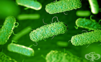 A04.4 Други чревни инфекции, предизвикани от Escherichia coli