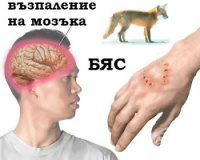 W64 Въздействие на други и неуточнени живи механични сили