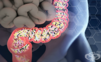 A04.7 Ентероколит, предизвикан от Clostridium difficile