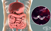 A04.5 Ентерит, предизвикан от Campylobacter