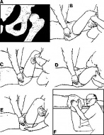 S73.0 ���������� �� �������