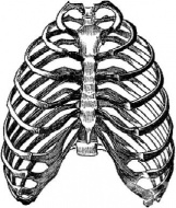 S23 ����������, ��������� � ��������� �� ������� � �������� ������ �� ������� ���