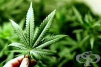 T40.7 ������� (����������)