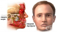 G51.3 Клоничен хемифациален спазъм