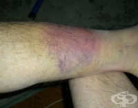 S80.1 �������� �� ����� � ���������� ����� �� ������������