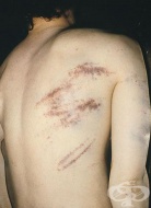 S20.7 ����������� ������������ ������ �� ������� ���