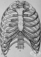 S23.5 ��������� � ��������� �� ������� ������ � ����� � ���������� ���� �� ������� ���